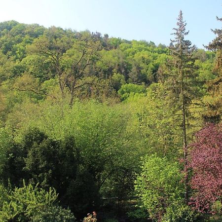 Großzügiges Zimmer mit Waldblick am Rheinsteig Linz am Rhein Exterior foto